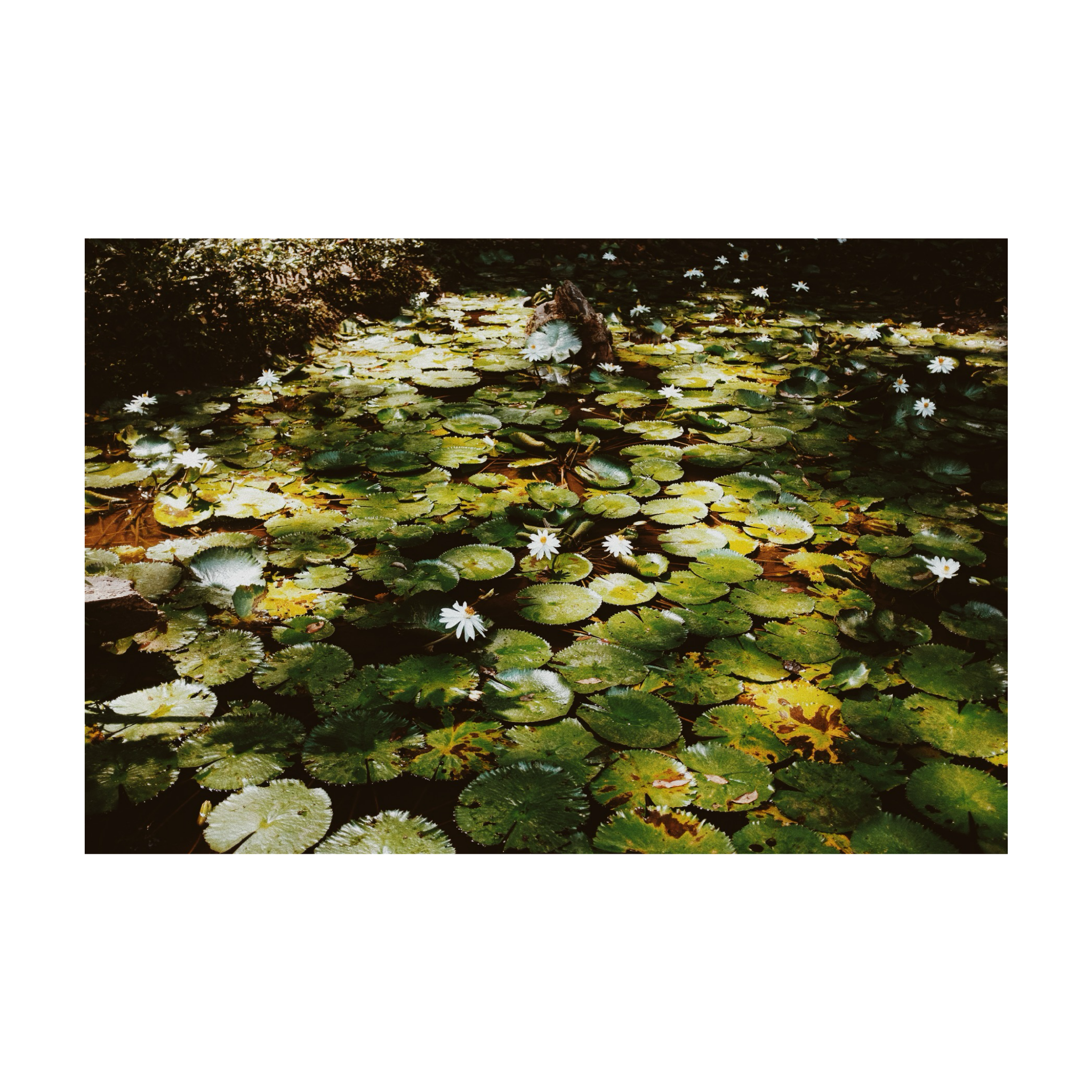 Literatura centroamericana